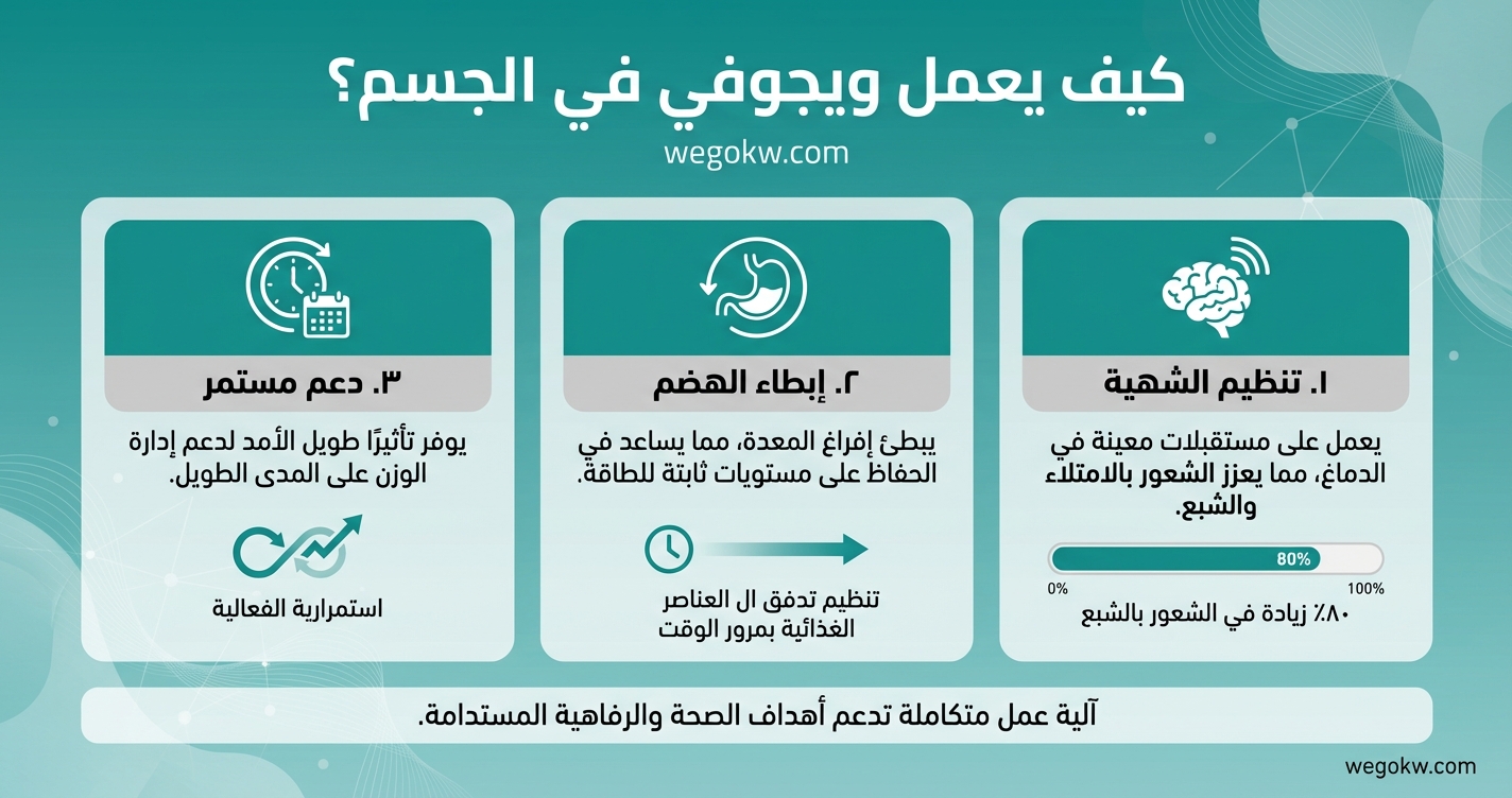 كيف تعمل إبرة ويجوفي لإنقاص الوزن؟