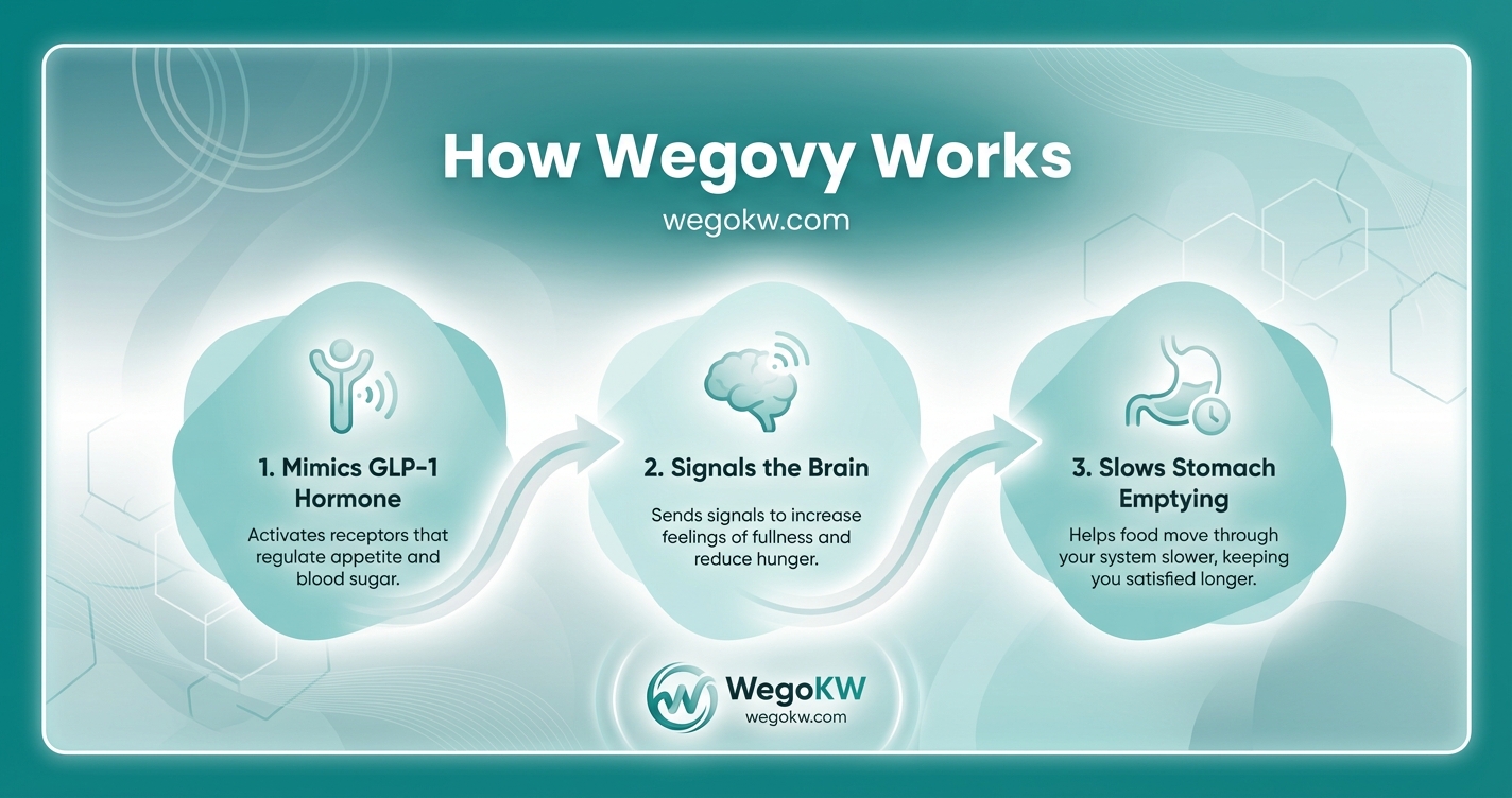 How Does Wegovy Work? Understanding the Mechanism